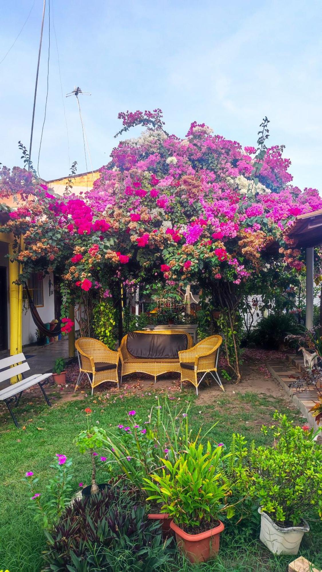 Pousada Solar Encanto Do Marajo Hotel Soure Exterior photo